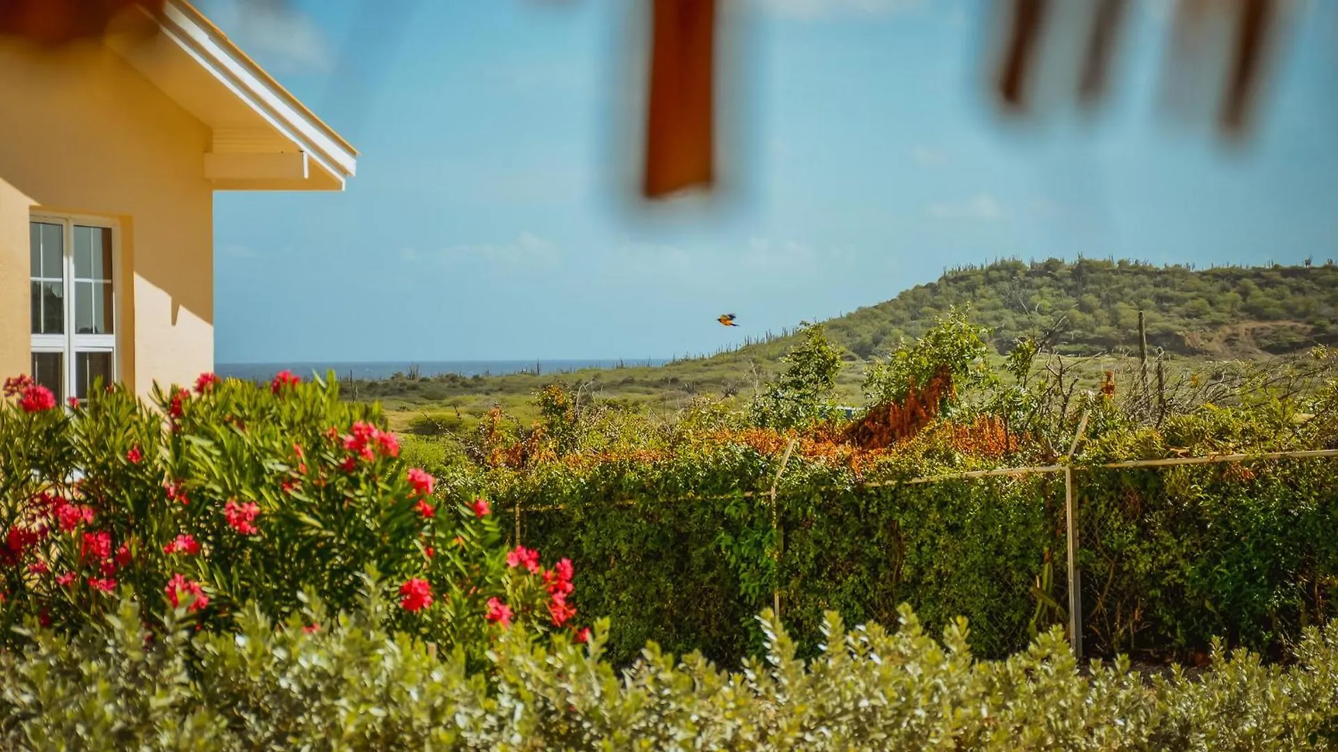 Santa Catharina Resort - Casa Samson Willemstad Curaçao